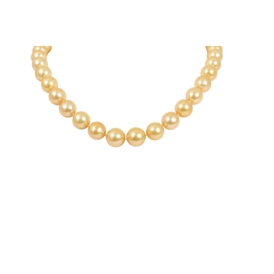 Gold South Sea Pearl Necklace